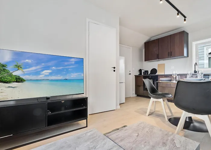 Luxury In Charming Area Apartamento