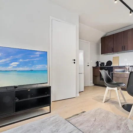 Luxury In Charming Area Apartment